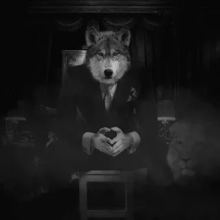 Video sticker 🚬 Больше стиков тут: @stikery4