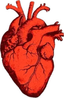 Telegram sticker ❤️‍🩹 @sticksbb <— больше стиков💓💘💞