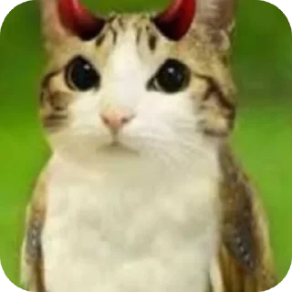 Telegram sticker 🐱 Meowl mentioned @Meowl_4ever @TgEmodziBot