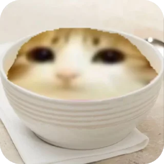 Telegram sticker 🐱 Meowl mentioned @Meowl_4ever @TgEmodziBot