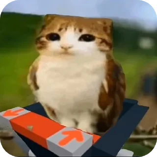 Telegram sticker 🐱 Meowl mentioned @Meowl_4ever @TgEmodziBot