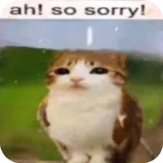Telegram sticker 🐱 Meowl mentioned @Meowl_4ever @TgEmodziBot