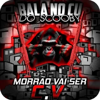 Video sticker 🖼 Mcc tá 2 ✌🏻🚩