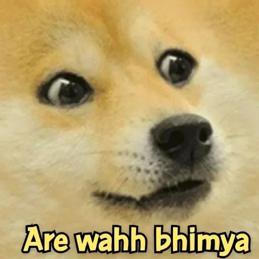 Telegram sticker 😂 Free Earning 👉 @EwaLooters