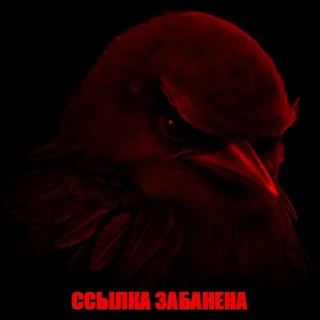 Video sticker ❌ roblox_condo