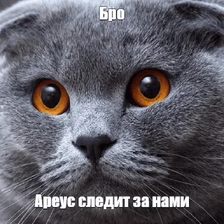 Video sticker 🕵️‍♂️ roblox_condo