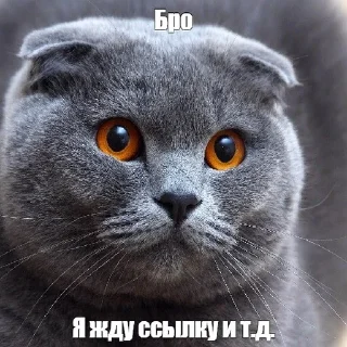 Video sticker 🐈 roblox_condo