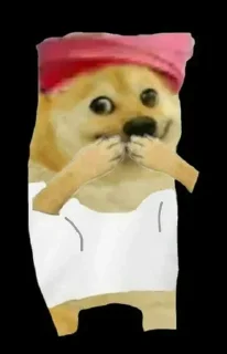 Sticker 🤭 @iitpaglu mayank ka pack 🗿