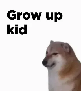 Video sticker 🌚 @iitpaglu mayank ka pack 🗿