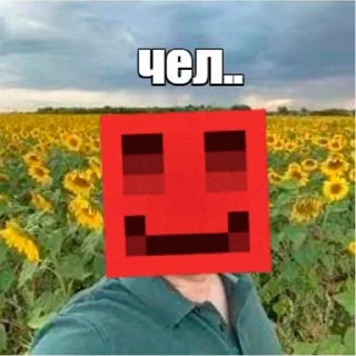 Telegram sticker 🧑 БЛСик by @bagreec