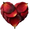 Sticker 🌹 HEART 🖤 @cute_enot_art