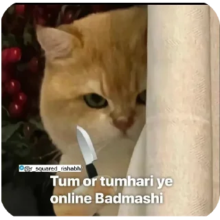 Telegram sticker 👍 Billiyokapamk @r_squared_rishabh