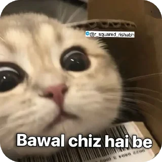 Video sticker 🖼 Billiyokapamk @r_squared_rishabh