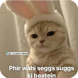 Telegram sticker 🐱 Billiyokapamk @r_squared_rishabh
