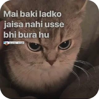 Telegram sticker 👍 Billiyokapamk @r_squared_rishabh