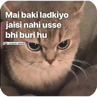 Telegram sticker 🖼 Billiyokapamk @r_squared_rishabh