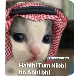 Video sticker 👍 Billiyokapamk @r_squared_rishabh