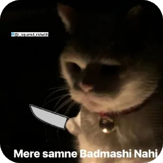 Telegram sticker 👍 Billiyokapamk @r_squared_rishabh