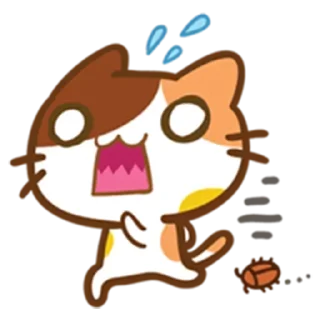 Telegram sticker 😱 😸 Meow 😸 @StickersPackRobot