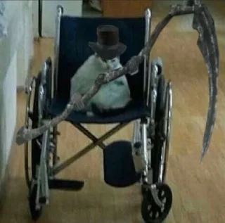 Video sticker 😜 Kys🙏 @Dominusu