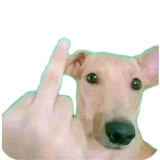 Telegram sticker ✋ Meene pack