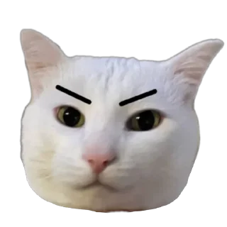 Video sticker 🐱 Meene pack