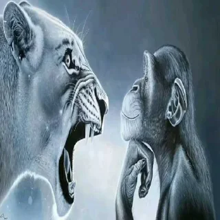 Video sticker 😱 Гигачад ➡️ @Ctikerubot