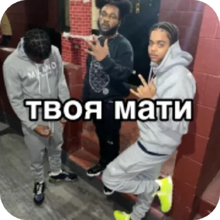Telegram sticker 👍 плащи