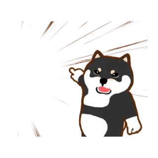 Video sticker 😊 阿柴們的狗哩狗氣日常第九彈 (倉屋柴犬, Happy New Year 新年快樂 CNY) @kal_pc