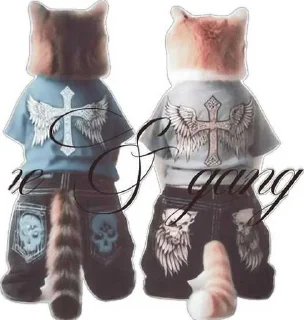 Video sticker 🥹 h0swarr ➡️ @Ctikerubot