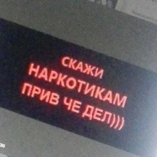 Video sticker 🪽 h0swarr ➡️ @Ctikerubot