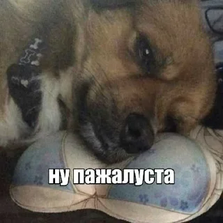 Telegram sticker 😜 h0swarr ➡️ @Ctikerubot