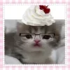 Sticker 😛 если @ohoboho