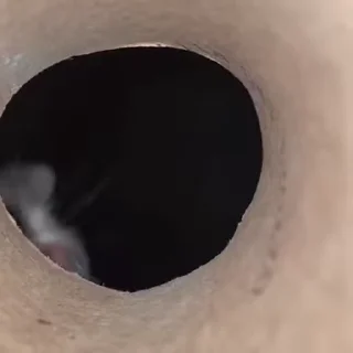 Video sticker 😺 @bnVPNbot 🔐 без перебоев ✅