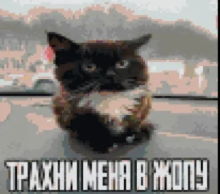 Sticker 🤑 Больше стиков тут: @stikery4