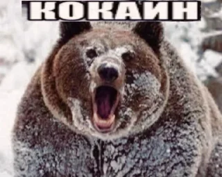 Telegram sticker 🤑 Больше стиков тут: @stikery4