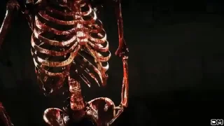 Video sticker 🤩 @Anychars @AnycharsChat