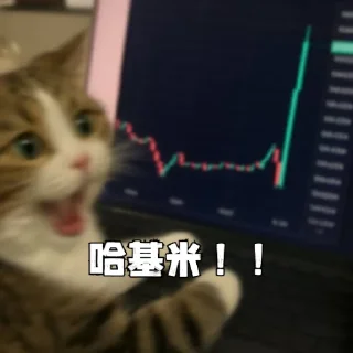 Video sticker 😂 BSC-哈基米社区