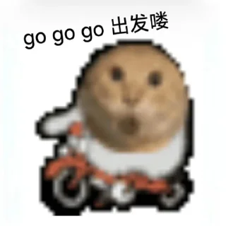 Video sticker 🤓 BSC-哈基米社区