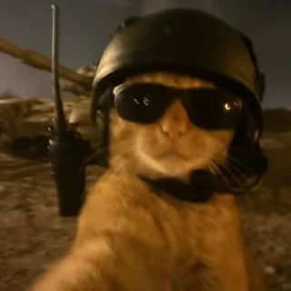 Телеграм стикер 😎 BSC-哈基米社区