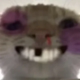 Video sticker 😁 BSC-哈基米社区