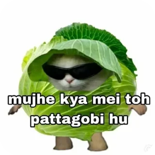 Telegram stiker 👓 ARC GROUP CHAT