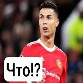 Telegram sticker ⁉ Профессионально-техническое училище @elfcafe