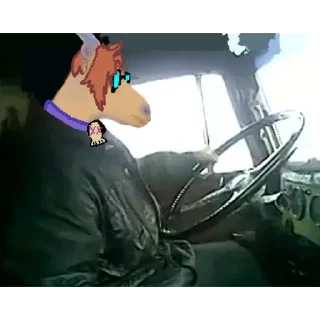 Video sticker 👍 стрим 13-14.02.26