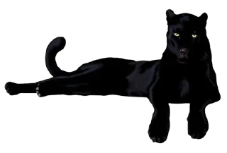 Телеграм стикер 🎫 @monasac