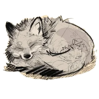 Video sticker 💤 Slava's Dumpster-Fox Hideout