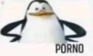Video sticker 🤔 PORNO