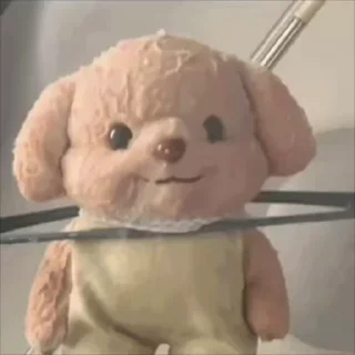 Video sticker 🌟 食不食油饼 :: @fStikBot