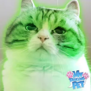 Video sticker 🌟 Комбагру чат by @ProstoNAME2 :: @fStikBot