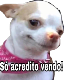 Telegram sticker ❤️ DO RAPHINHA